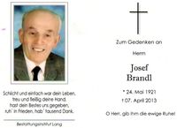 20130407 Brandl Josef Brunn